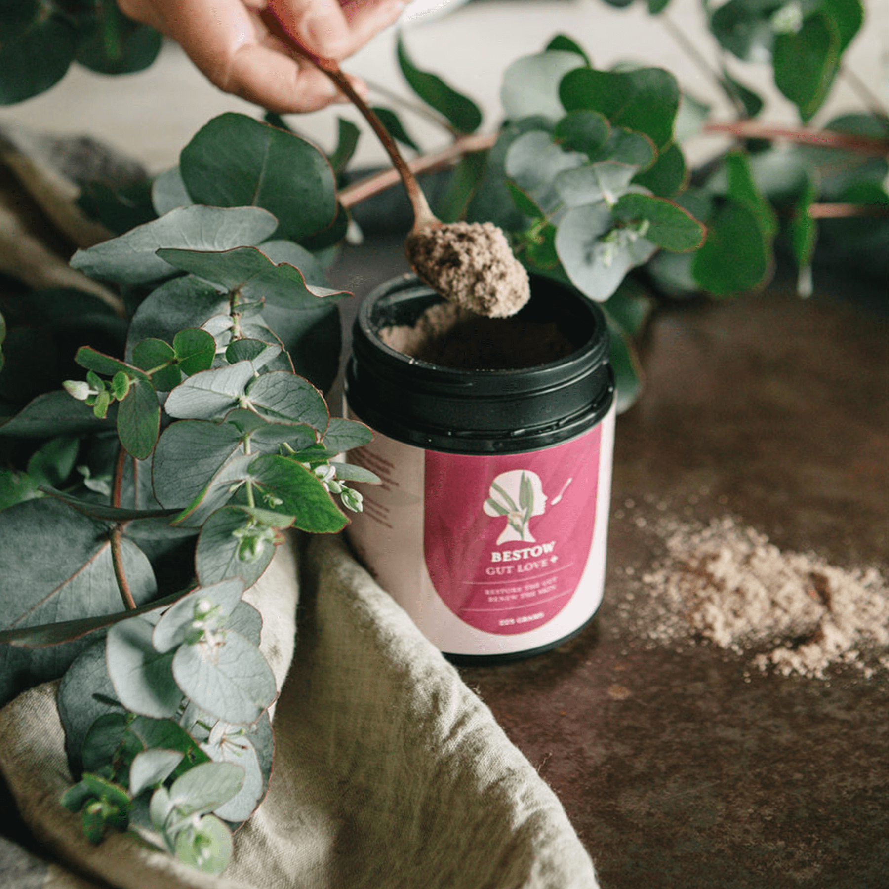 bestow-gut-love2.png